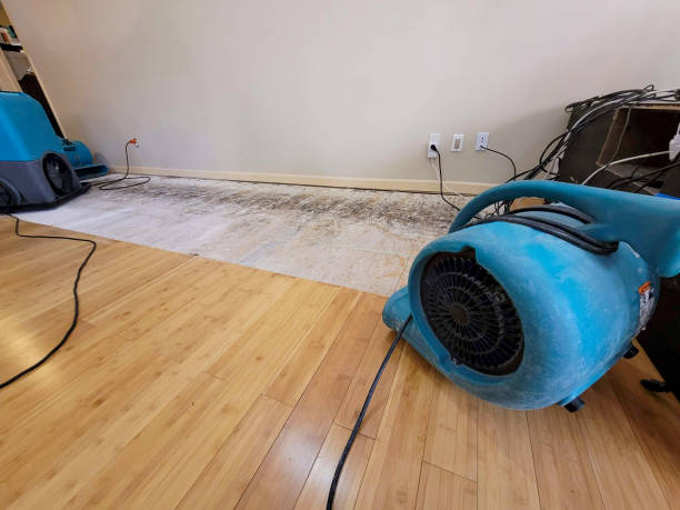 Professional Basement Flood Cleanup technician working in Friendship, WI